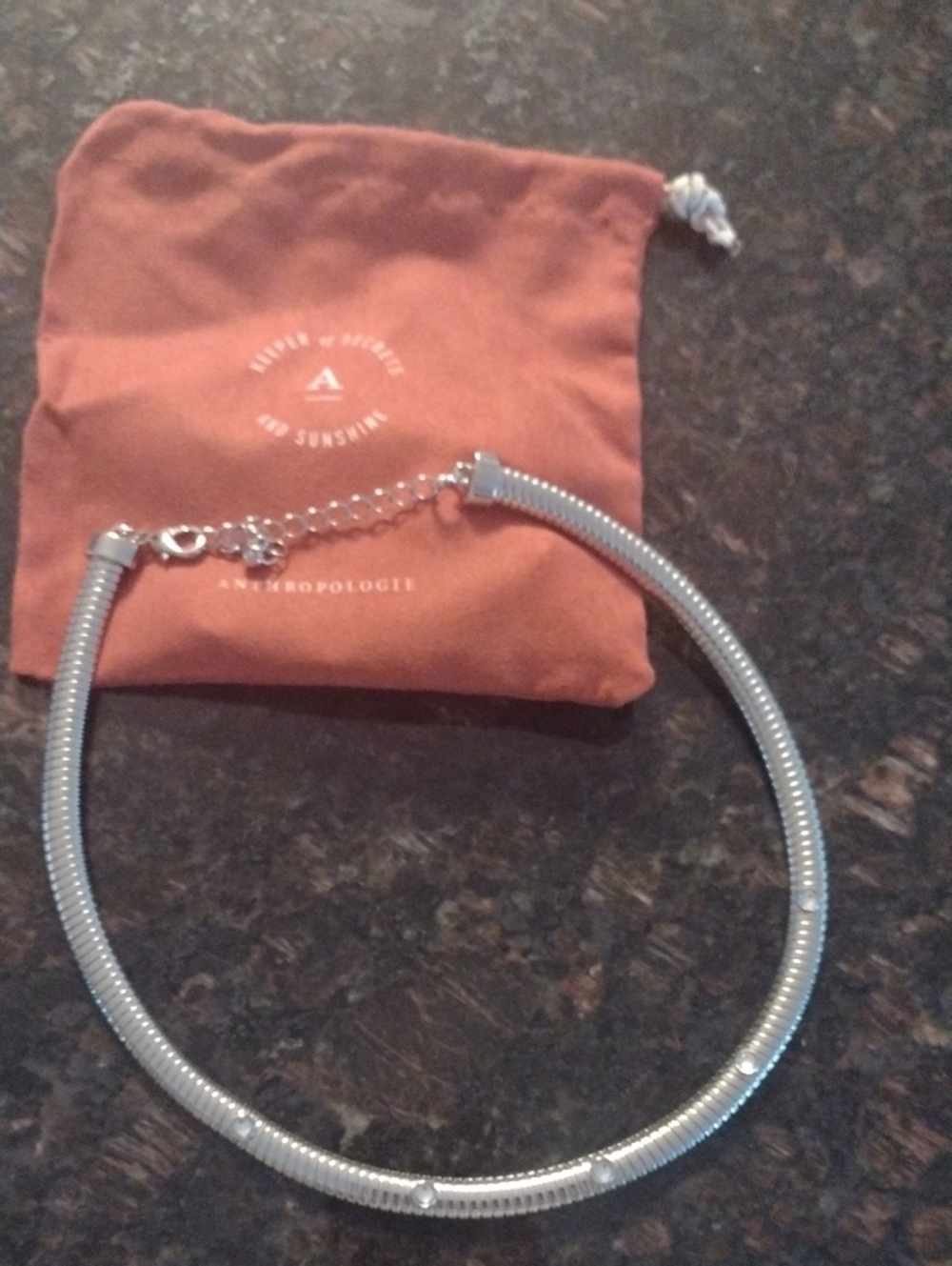 Anthropologie Silver Tubular Choker Necklace